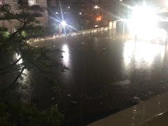 -细村农贸综合市场