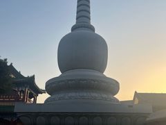 -天津大悲禅院