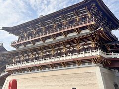 -洛阳市隋唐城遗址植物园