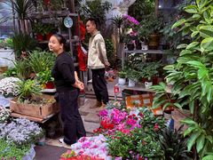 -苏州市皮市街花鸟工艺品市场