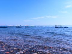 -抚仙湖禄充风景区