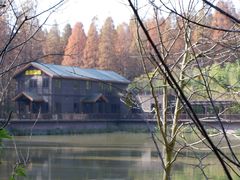 -黄海国家森林公园