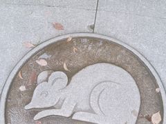 -上海野生动物园