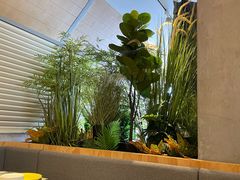 -simply thai天泰(美罗城店)