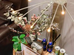 -三只熊皮肤管理中心