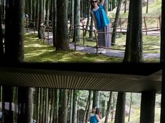-玉苍山国家森林公园
