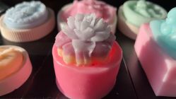 点击看大图 -安琪朵朵独栋花园月子中心