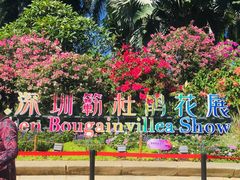 -莲花山公园
