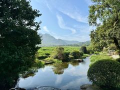 -中国茶叶博物馆(双峰馆区)