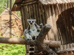 -北京野生动物园