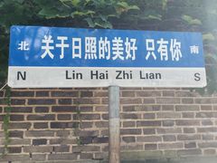 -日照海滨国家森林公园