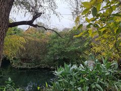 -花溪公园