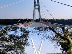 -沈阳鸟岛