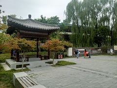 -莲花池公园