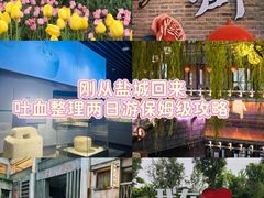 -荷兰花海