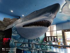 -多彩贵州城极地海洋世界