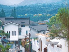 -杭州西湖风景名胜区-满觉陇四眼井