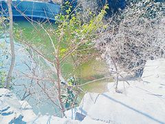 -石老人观光园