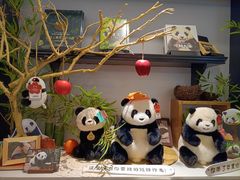 -轩客会(熊猫书店)