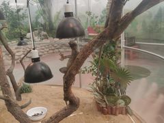 -南宫五洲植物乐园