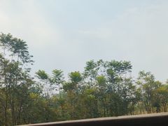 -林间山庄