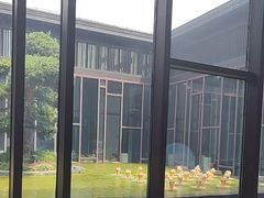 -上海崇明金茂凯悦酒店