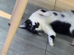 -屋里家延边朝鲜族冷面(梅林3店)