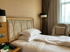 -长沙小天鹅戴斯酒店