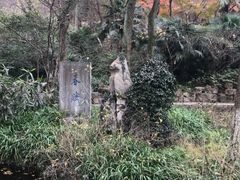 -镇江市南山风景名胜区竹林景区