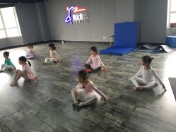 -舞苏杭