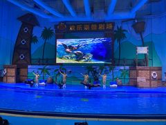-石家庄极地海洋世界