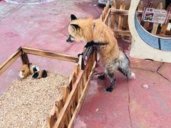 -长鹿旅游休博园