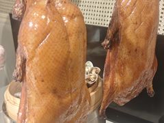 -京彩臻品火锅