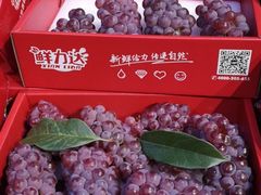 -鲜力达果品批发直销(无锡保利香槟店)