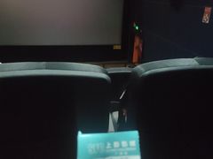 -SFC上影影城(广州店)