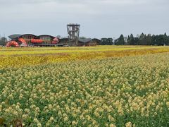 -中国天府农业博览园