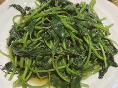 -老财土菜馆·砂锅雅鱼(廊桥店)