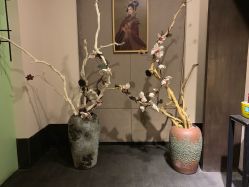 -盘子女人坊古装写真摄影(天津总店)