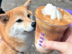 维也纳-HANA COFFEE(长寿路店)