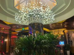 -润园四季椰子鸡火锅(海上世界店)