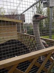 -萌宠亲子动物乐园(槐房万达店)