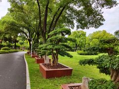 -汉水公园