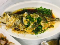 -金海湾海鲜排档(朱家尖店)