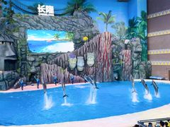 -珠海长隆海洋王国