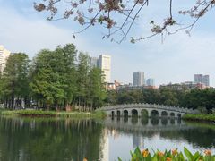 -四海公园(南山区)