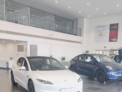 -TESLA 特斯拉(北京南四环中路特斯拉中心)