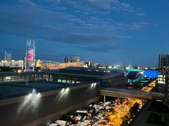 -国家会议中心大酒店