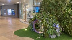 -西瓜庄园儿童摄影