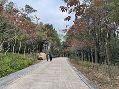 -聚龙山公园