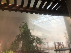 -青岛香根温泉酒店
